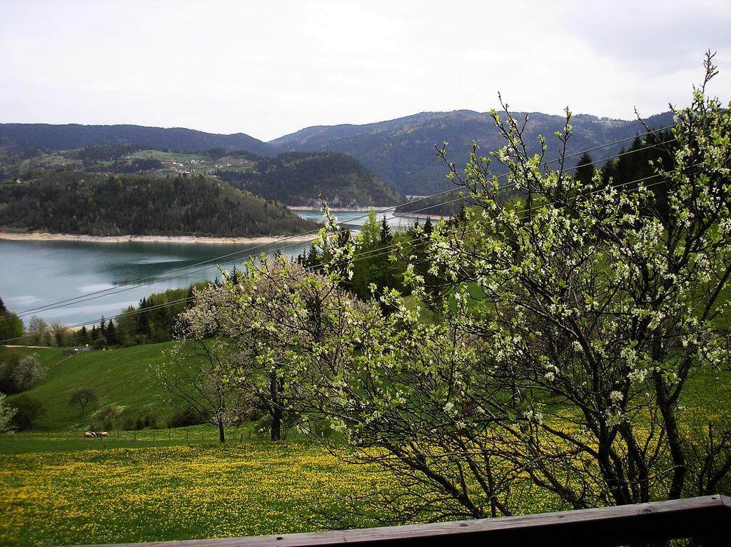 Apartamento Konaci Zaovljanska Jezera Zaovine Exterior foto