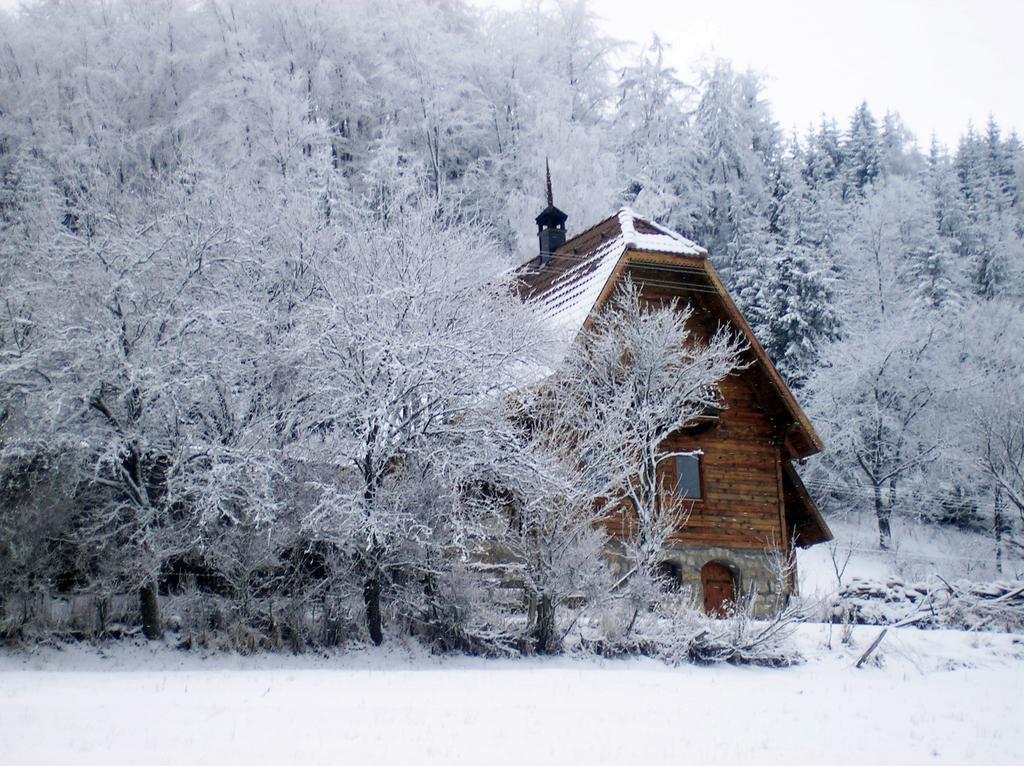 Apartamento Konaci Zaovljanska Jezera Zaovine Exterior foto