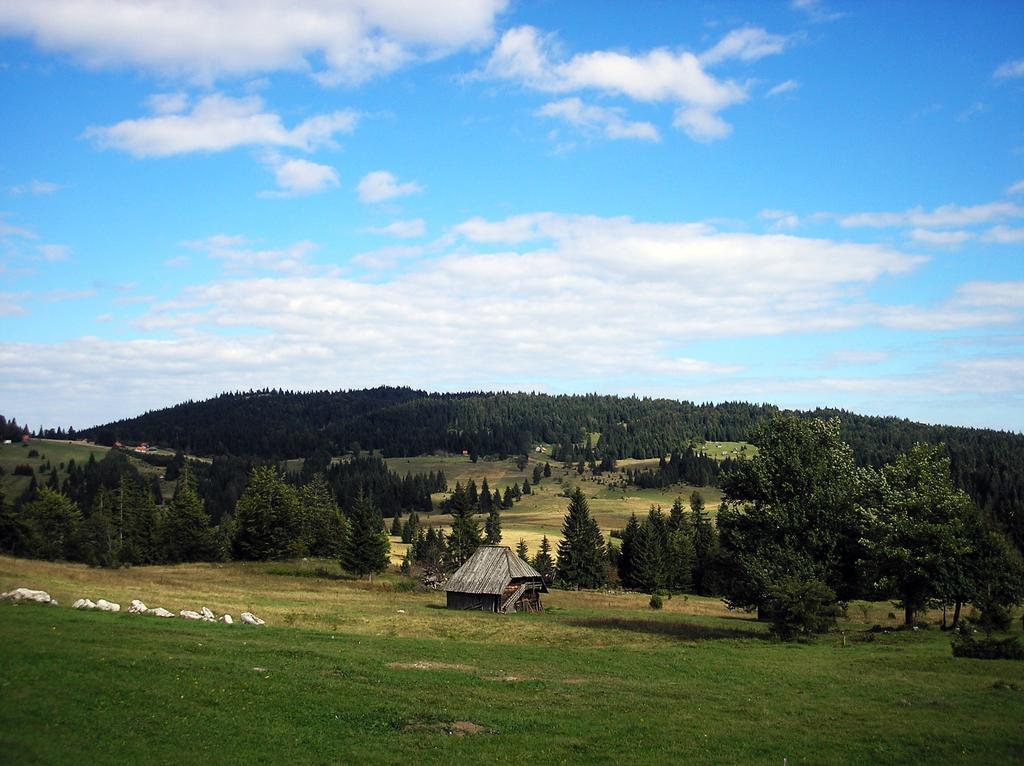 Apartamento Konaci Zaovljanska Jezera Zaovine Exterior foto