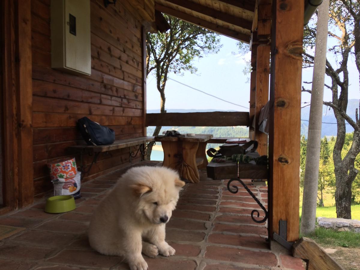 Apartamento Konaci Zaovljanska Jezera Zaovine Exterior foto